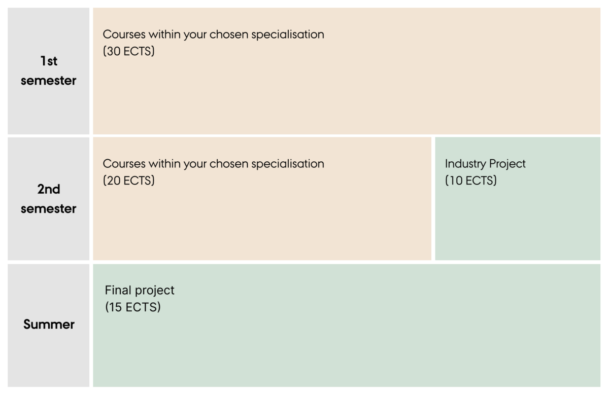Programme structure for Applied Computer Science