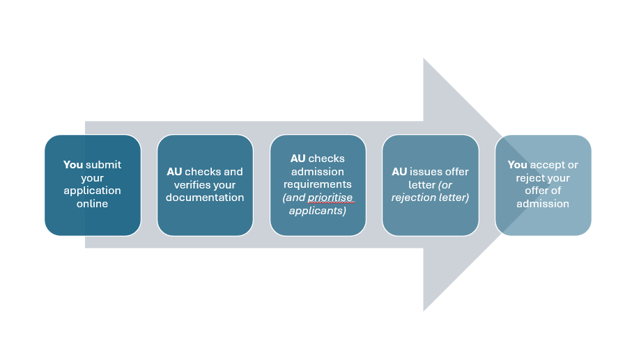 Application journey info graphic